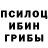Галлюциногенные грибы прущие грибы gholixa zxcpepega