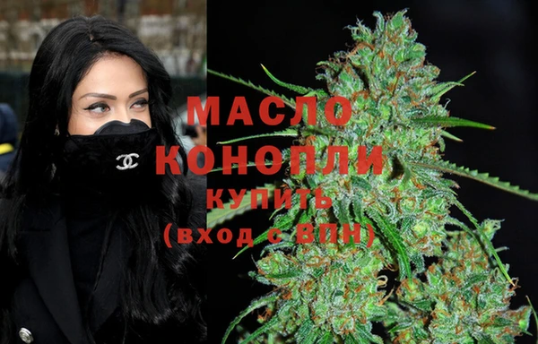 таблы Гусев