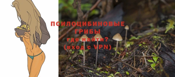 стафф Горно-Алтайск