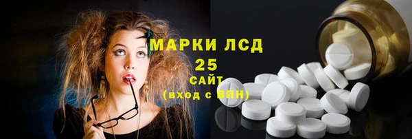 СК Горнозаводск