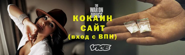 ПСИЛОЦИБИНОВЫЕ ГРИБЫ Гусиноозёрск