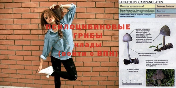 стафф Горно-Алтайск