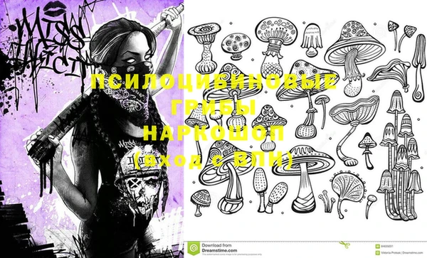 таблы Гусев