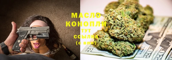 дмт Горняк